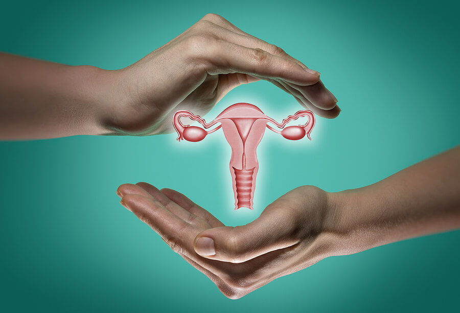 El aparato reproductor femenino: en qué consiste y cómo funciona