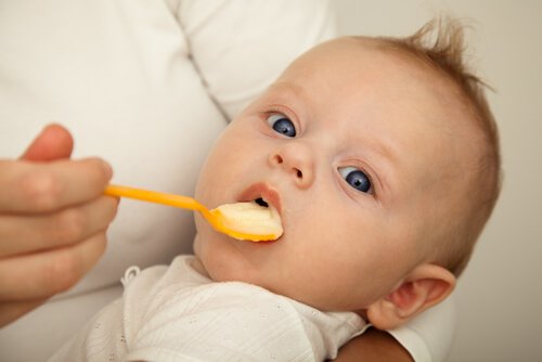 Aprenda cómo introducir alimentos sólidos en bebés 