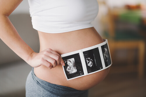 Las ecografías nos permiten conocer información acerca del feto y su estado