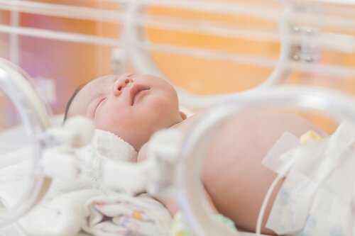 Los bebés sietemesinos son colocados en incubadoras para completar su maduración.