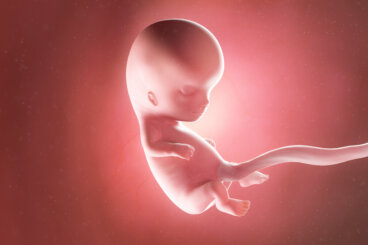 Semana 10 del embarazo: síntomas, desarrollo del bebé y recomendaciones