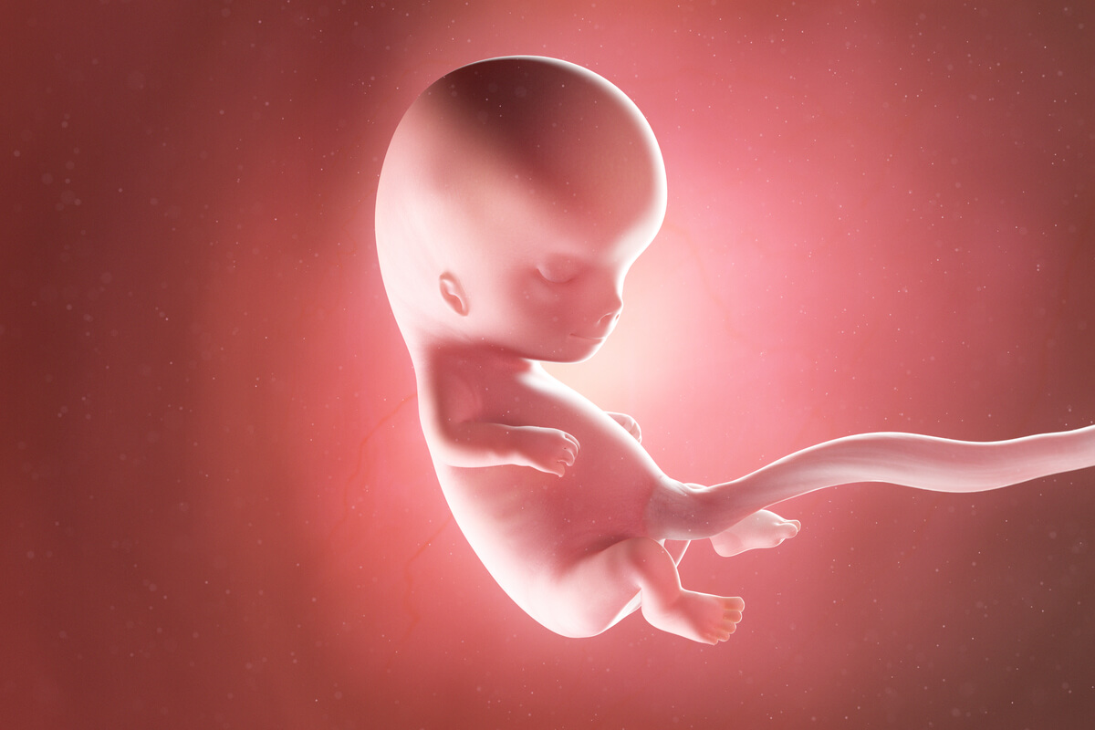 Semana 9 del embarazo: síntomas, desarrollo del bebé y recomendaciones -  Eres Mamá