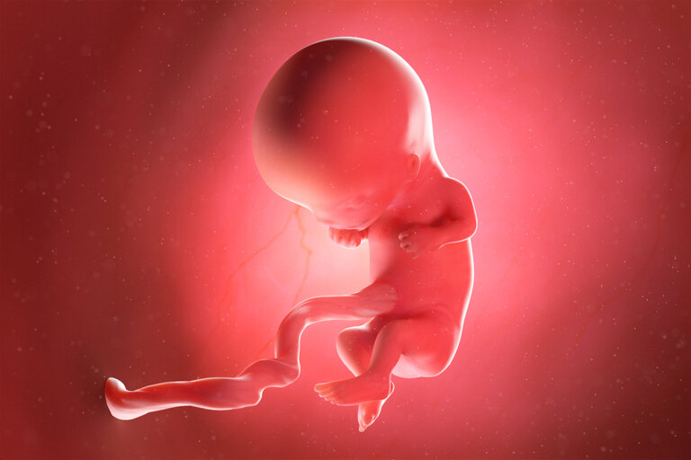 Semana 11 del embarazo: síntomas, desarrollo del bebé y recomendaciones
