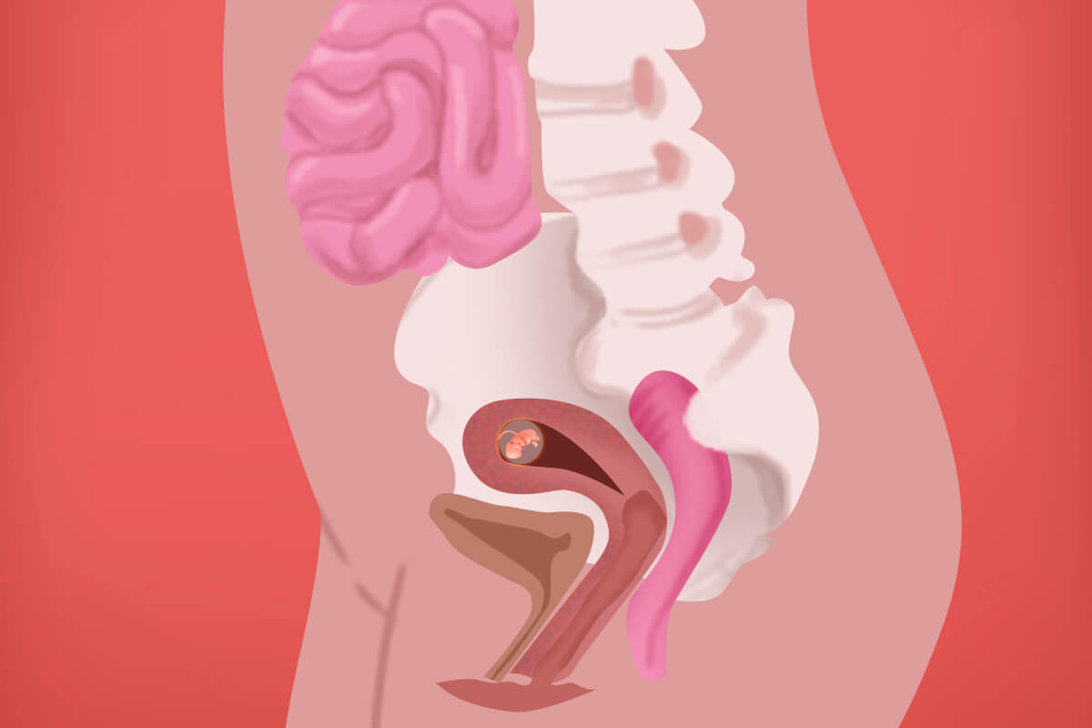 Cuerpo de la madre en la semana 11 del embarazo