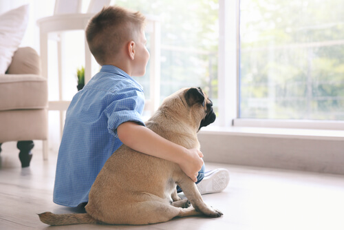 Los mejores perros pequeños para niños