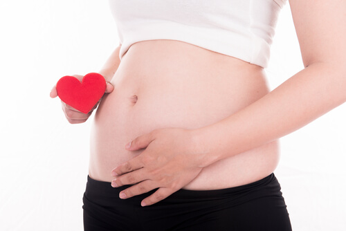 A partir de los meses de embarazo se da paso a la etapa fetal.