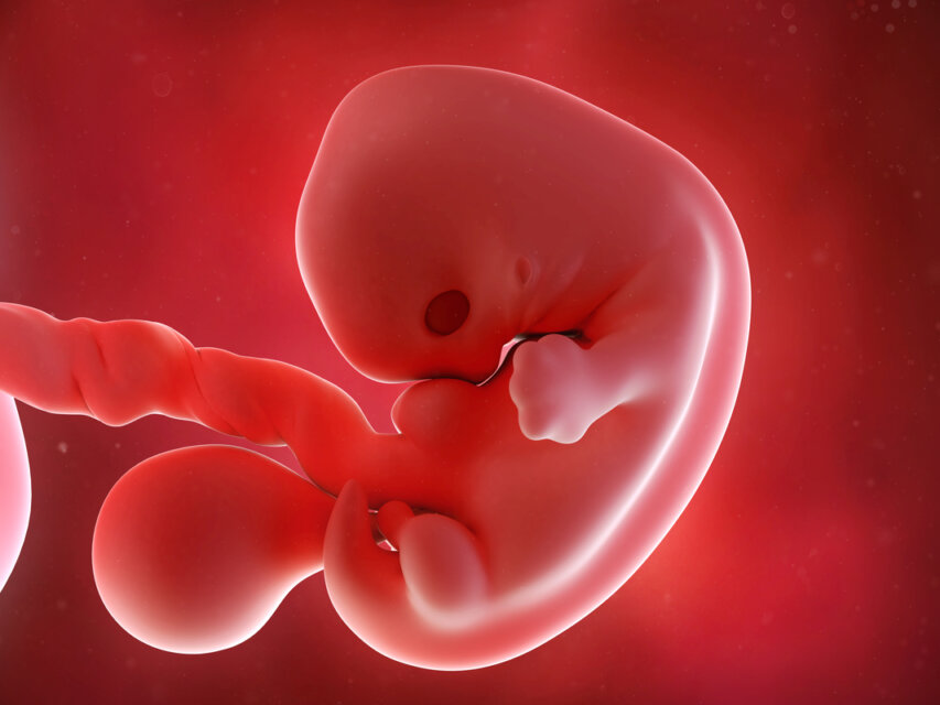 Semana 7 Del Embarazo Sintomas Desarrollo Del Bebe Y Recomendaciones Eres Mama