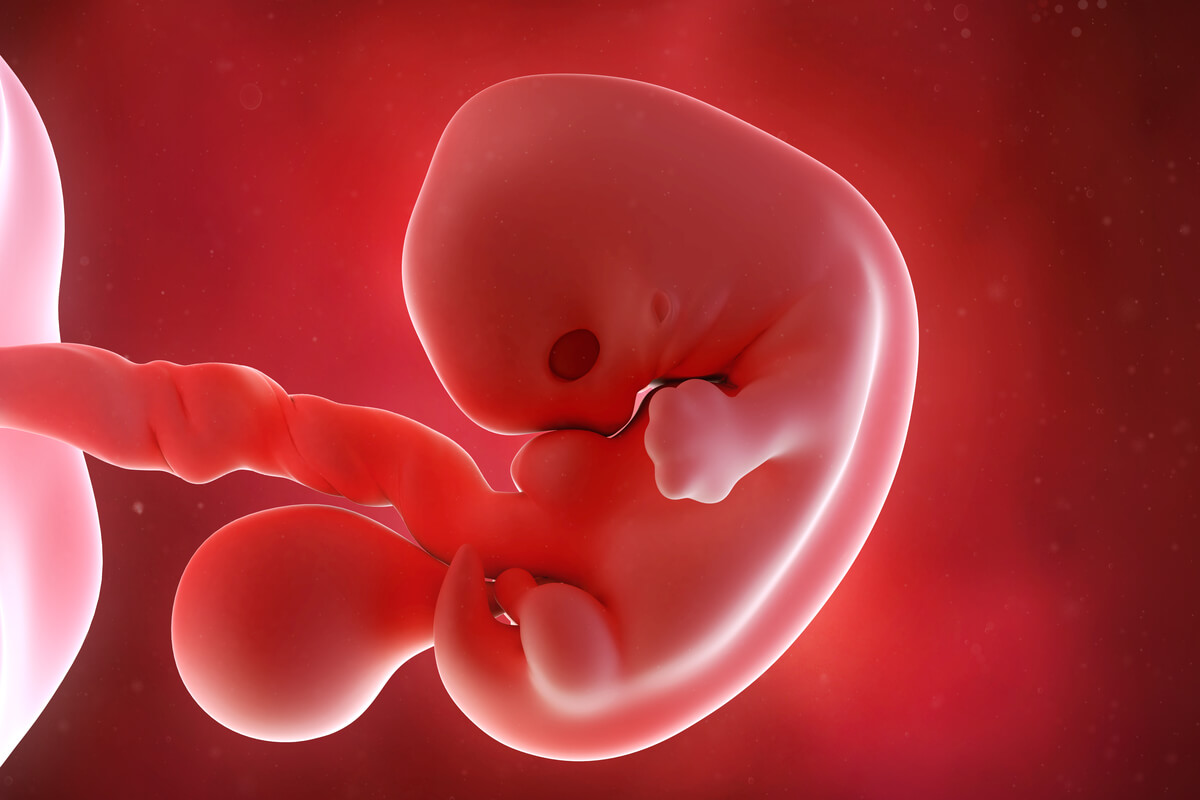 Semana 7 del embarazo: síntomas, desarrollo del bebé y recomendaciones