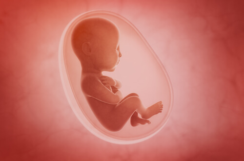 Malformaciones del feto: tipos y prevención