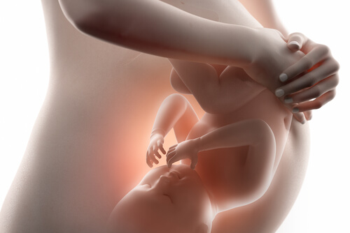 El obstetra es el encargado de revisar que todo vaya bien durante el embarazo.