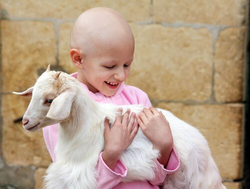 Leucemia en niños: qué es y cómo enfrentarse a ella