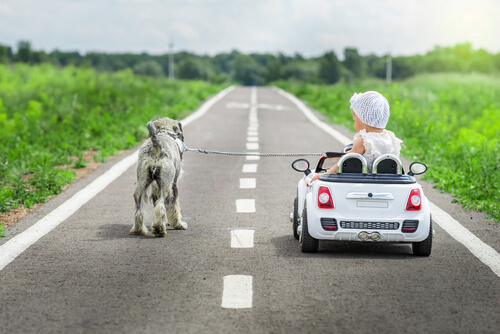 Los coches eléctricos para niños son perfectos para jugar al aire libre.