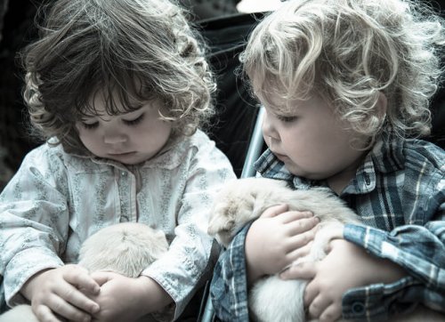Los mejores animales para niños