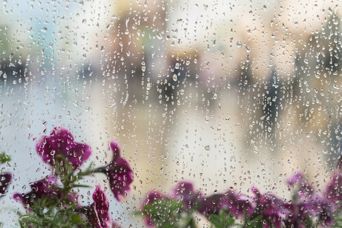 El sonido de la lluvia es un ruido blanco.