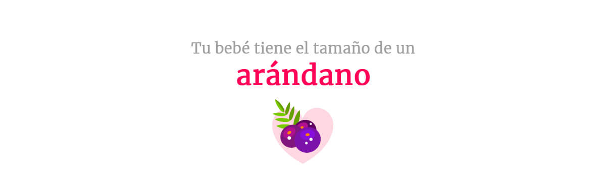 Tamaño del bebé en la semana 7 de embarazo