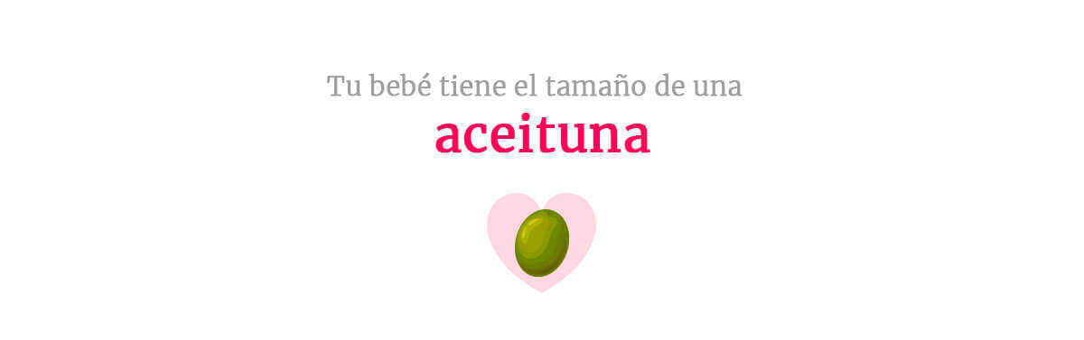 Tamaño del bebé en la semana 9 del embarazo