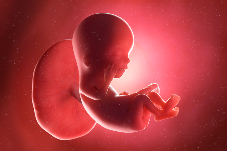 Semana 12 del embarazo: síntomas, desarrollo del bebé y recomendaciones
