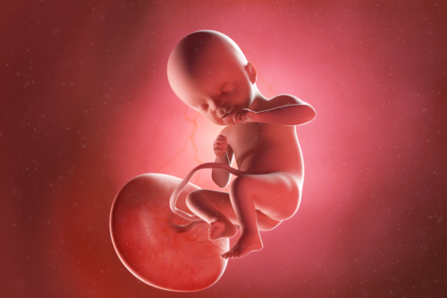Semana 21 del embarazo: síntomas, desarrollo del bebé y recomendaciones