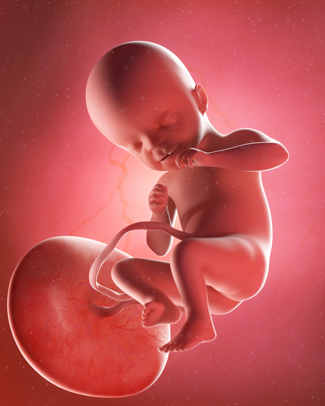 Morbosidad Excavación espejo Semana 21 del embarazo: síntomas, desarrollo del bebé y recomendaciones -  Eres Mamá