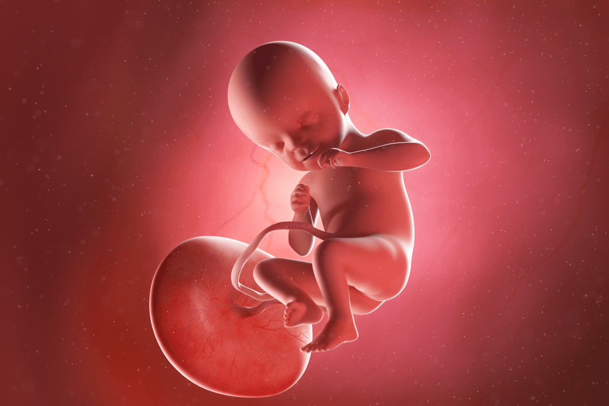 Semana 21 del embarazo: síntomas, desarrollo del bebé y recomendaciones