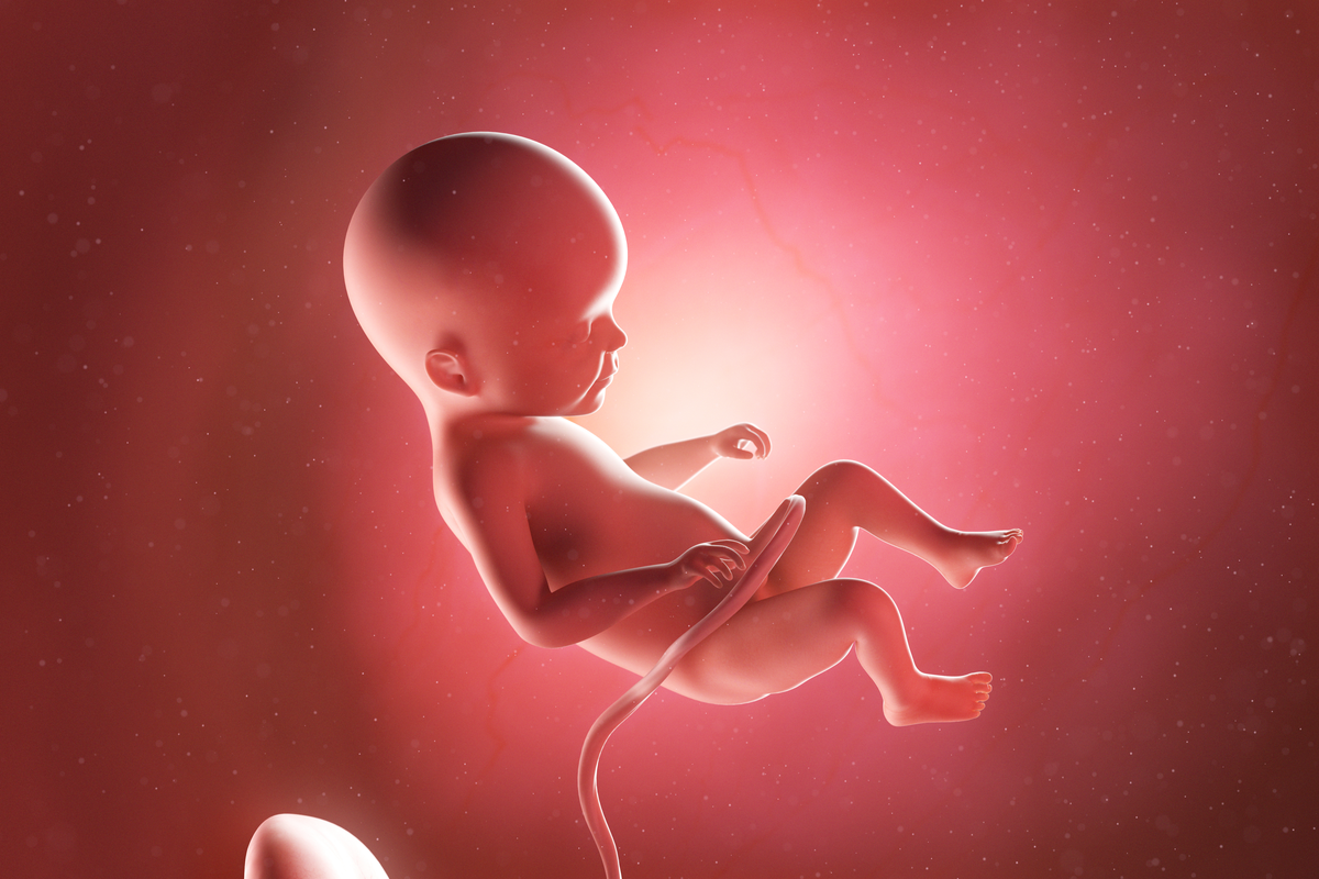 Semana 22 del embarazo: síntomas, desarrollo del bebé y recomendaciones