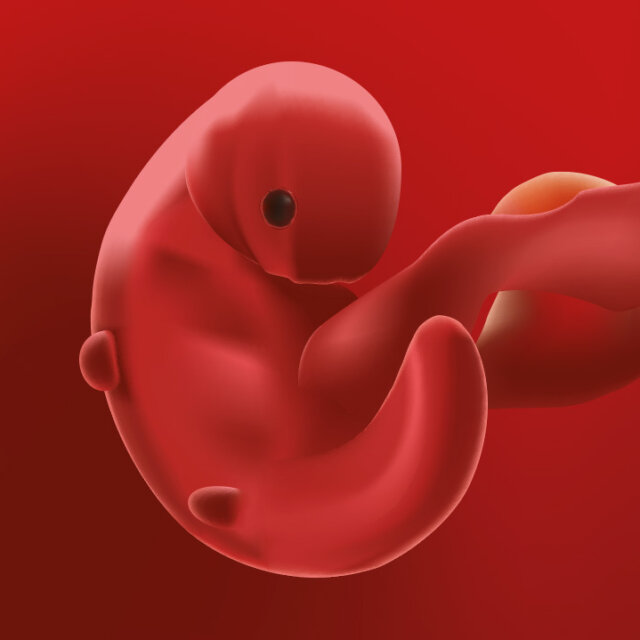 Semana 4 Del Embarazo Sintomas Desarrollo Del Bebe Y Recomendaciones Eres Mama