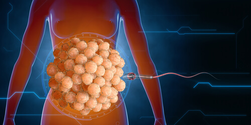 Le processus de fécondation des ovules par les spermatozoides en 3D.