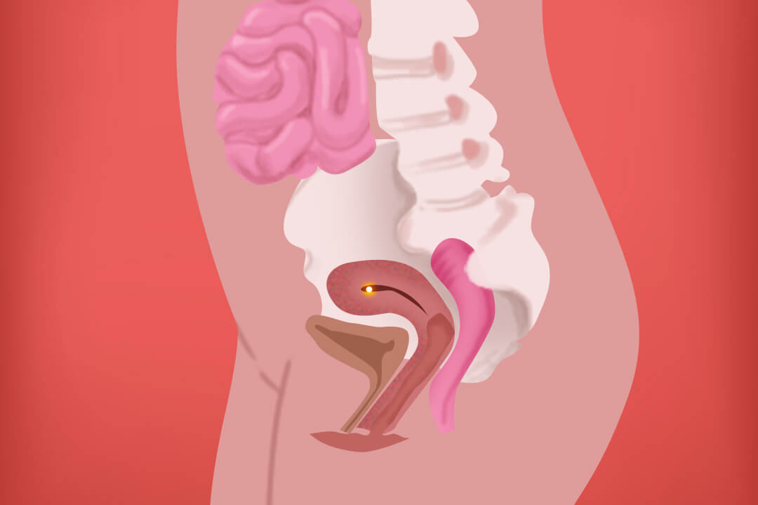 Cuerpo de una mujer embarazada en la semana 4