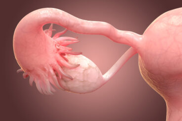 Semana 1 del embarazo: síntomas, desarrollo del bebé y recomendaciones