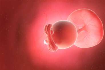 Semana 5 del embarazo: síntomas, desarrollo del bebé y recomendaciones