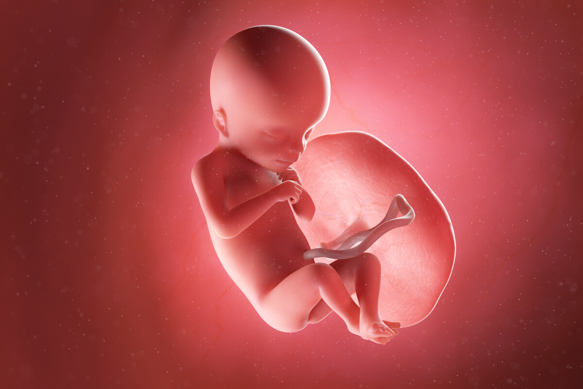 Semana 18 del embarazo: síntomas, desarrollo del bebé y recomendaciones