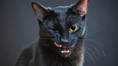 Las supersticiones se han mantenido a lo largo de los años de boca en boca.