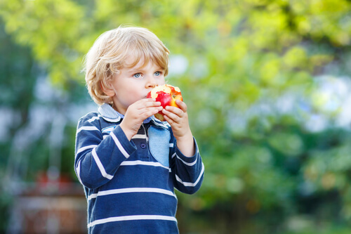 Avoir une alimentation saine est une habitude qui peut être incorporée même très jeune.