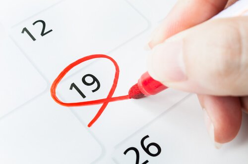 Semana 19 del embarazo
