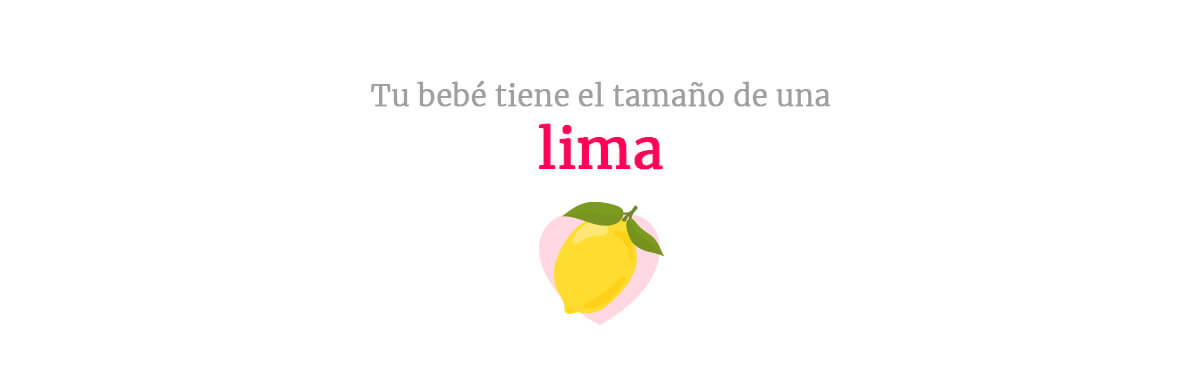 Tamaño del bebé en la semana 12