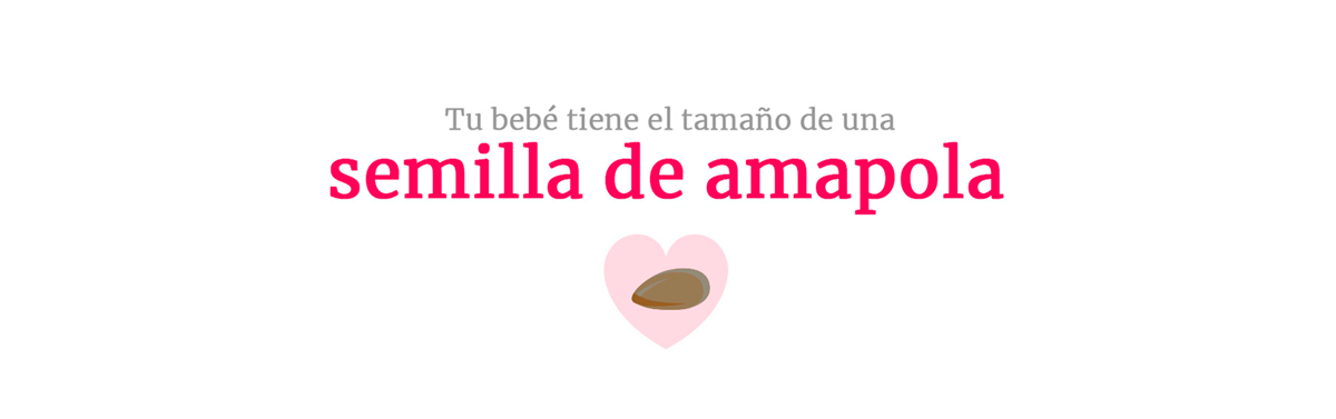 Taille du bébé à la semaine 4 de la grossesse