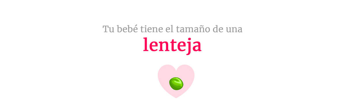 Tamaño del bebé en la semana 6 del embarazo