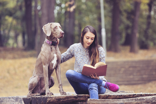Los libros para adolescentes constituyen un momento ideal para relajarse y pasar tiempo al aire libre.