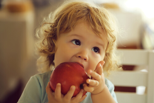 Es importante que las frutas que el bebé ingiera estén bien trozadas.