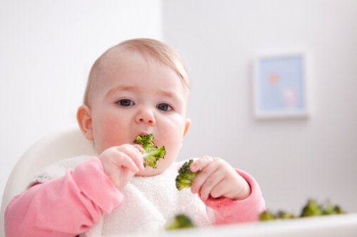 El método ACS postula que los bebés deben manipular los alimentos que ingieren.