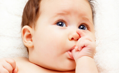 Es normla que los bebés se chupen los dedos durante los primeros meses de vida.