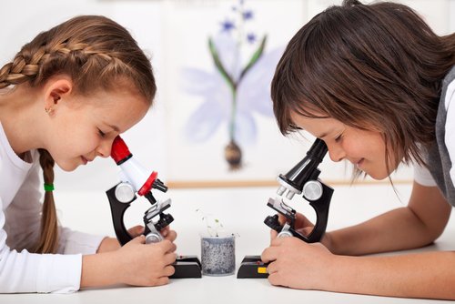 Existen numerosos experimentos de biología para niños.