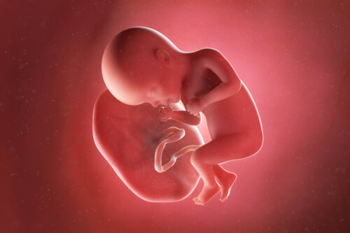 Semana 27 del embarazo: síntomas, desarrollo del bebé y recomendaciones