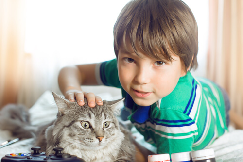 El gato es uno de los animales más amados por los niños.