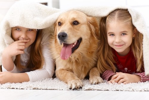 Películas que enseñan a los niños el amor por los animales.