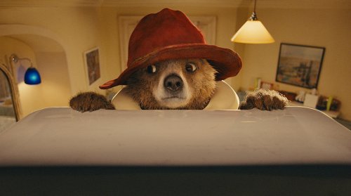 Paddington, una película para todos