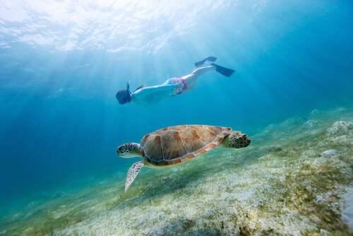 El submarinismo es un deporte para adultos y niños.
