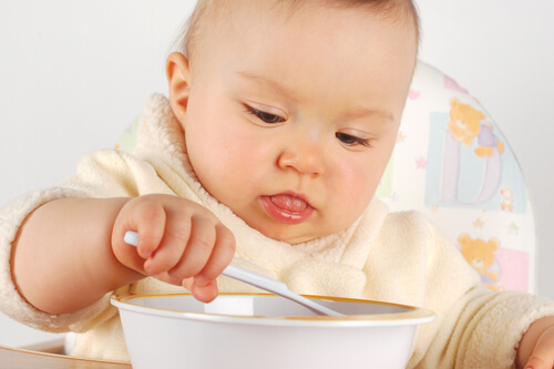 Les premiers aliments pour le bébé sont généralement réduits en purée ou moulus.