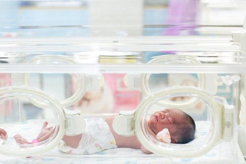 La incubadora ofrece al bebé un ambiente protegido y sano.