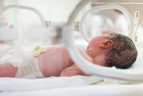 Los bebés prematuros son dados de alta cuando cumplen ciertos requisitos de desarrollo tras un periodo en la incubadora.
